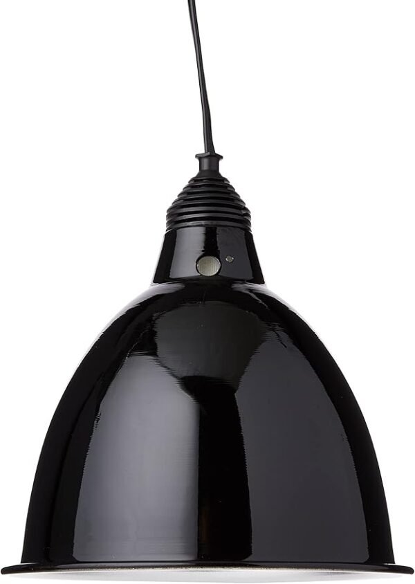 Exo Terra Reptile Dome