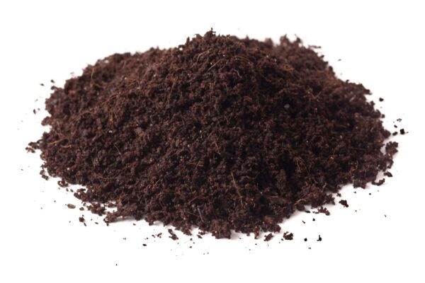 Peat Moss